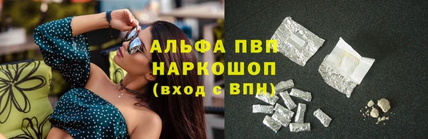 гашик Алексеевка