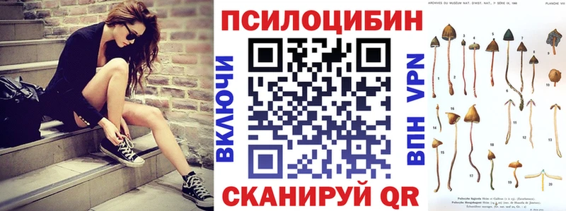 hydra онион  Нея  Псилоцибиновые грибы Psilocybine cubensis 
